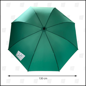 Mynt XL Umbrella