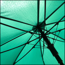 Load image into Gallery viewer, Mynt XL Umbrella
